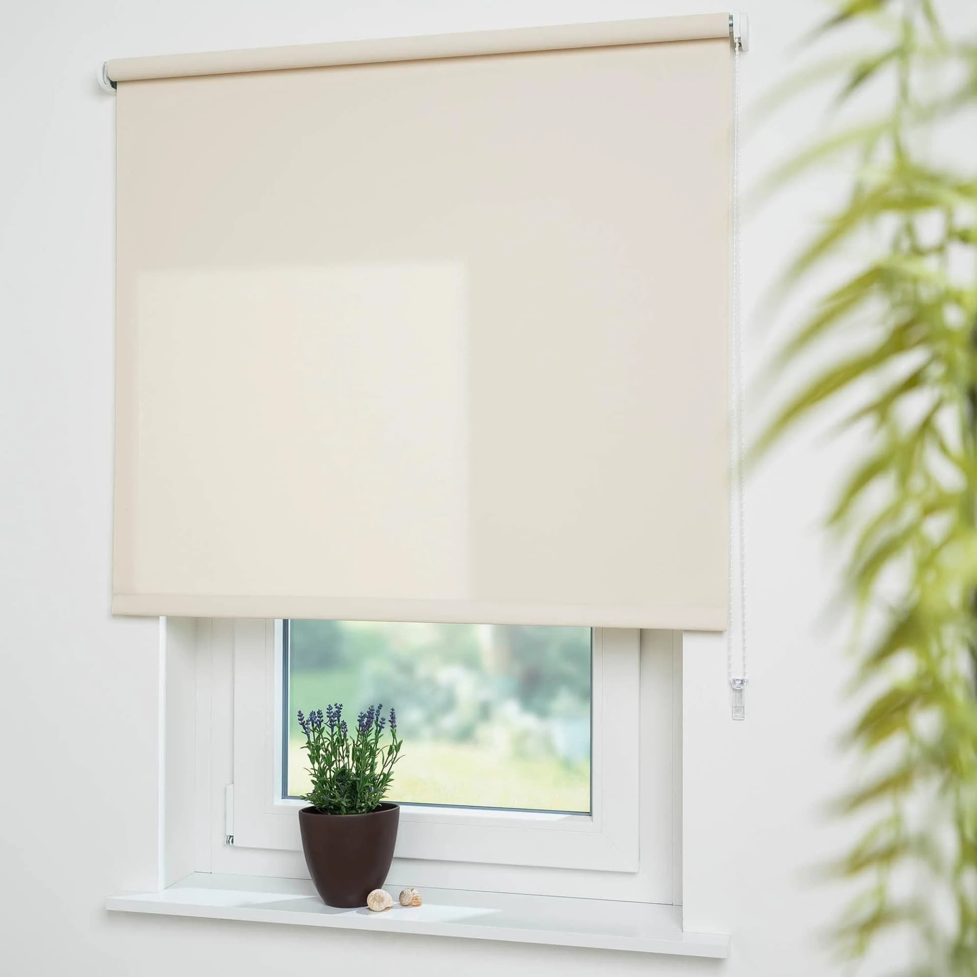 LIEDECO Seitenzugrollo Uni Beige Polyester
