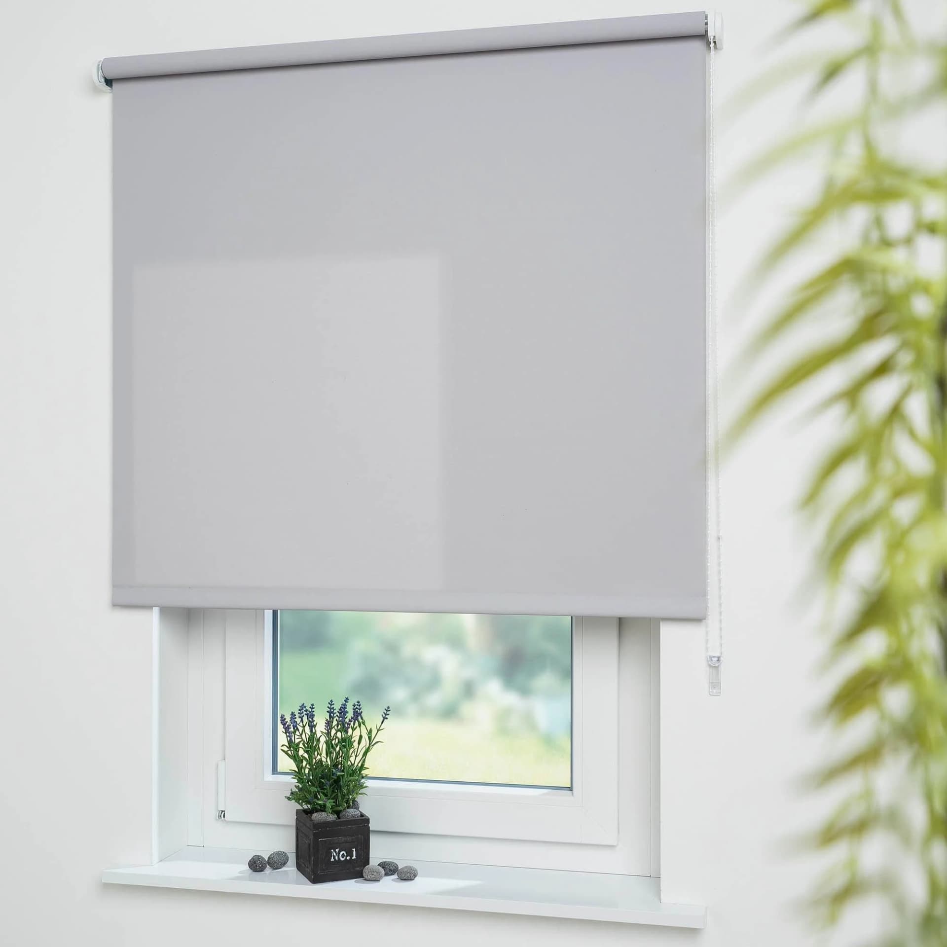 LIEDECO Seitenzugrollo Uni hellgrau Polyester Sichtschutz