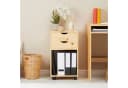 IDIMEX Rollcontainer KANO Kiefer massiv natur 2 Schubladen Bild 1