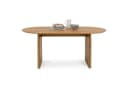 IDIMEX Essgruppe MALA/ARIEL Esstisch Oval 180x90 cm 4 Stühle Bild 4