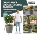 Kreher Pflanzkübel Rollbar XXL Weiß Anthrazit Bild 5