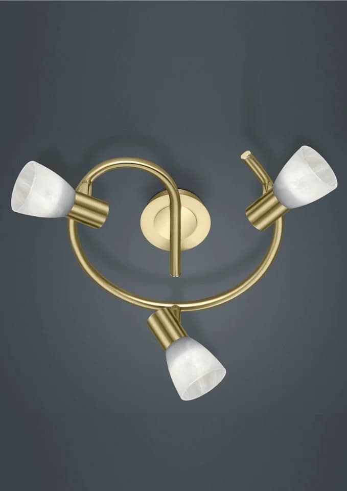 Trio Leuchten LED Deckenstrahler LEVISTO Gold LED wechselbar