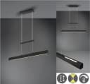 REALITY LEUCHTEN LED Pendelleuchte PAROS Schwarz Dimmbar Höhenverstellbar Bild 1