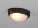 TRIO Leuchten Außen-Wandleuchte Oval Schwarz E27 Bild 5
