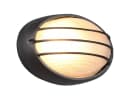 TRIO Leuchten Außen-Wandleuchte Oval Gitterlampe Fassaden-Beleuchtung Hauswand Carport Schwarz Bild 2