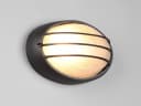 TRIO Leuchten Außen-Wandleuchte Oval Gitterlampe Fassaden-Beleuchtung Hauswand Carport Schwarz Bild 3