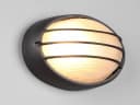 TRIO Leuchten Außen-Wandleuchte Oval Gitterlampe Schwarz Bild 3