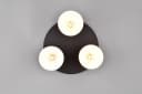 TRIO LEUCHTEN Deckenleuchte AGUDO 3-flammig Braun Beige Metall Bild 5