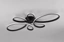 TRIO LEUCHTEN LED Deckenleuchte FLY Schwarz Matt Dimmbar Bild 1
