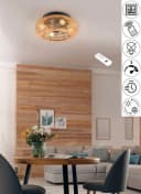 Reality Leuchten Deckenventilator LILLESAND Braun mit Fernbedienung & Timer Bild 1