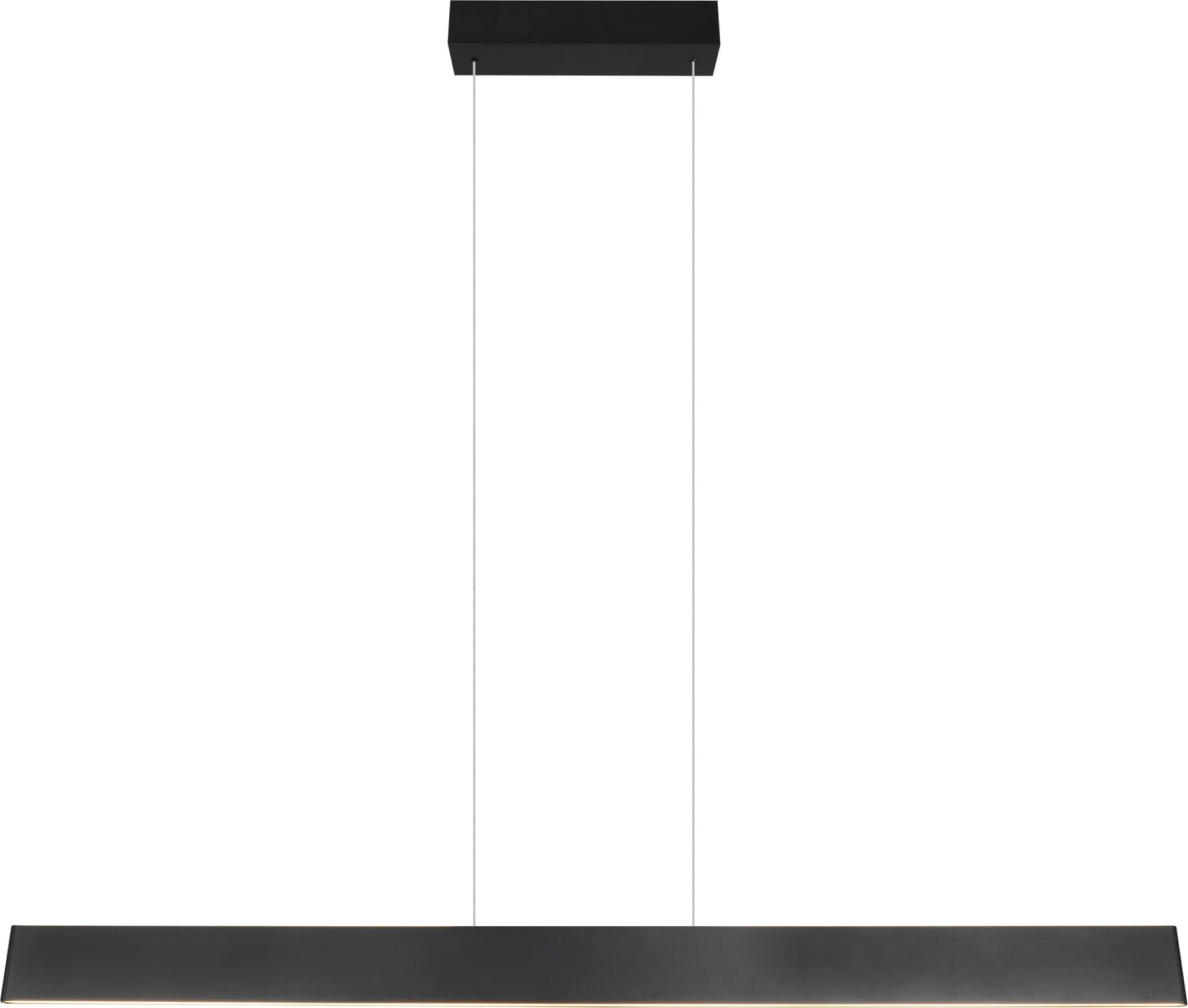 TRIO Leuchten LED Pendelleuchte Galway Schwarz Metall