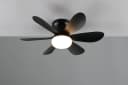 Reality Leuchten LED Deckenleuchte LUND mit Ventilator Schwarz Matt Bild 3