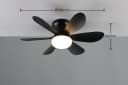 Reality Leuchten LED Deckenleuchte LUND mit Ventilator Schwarz Matt Bild 4