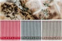 Kracht Geschirrtuch Waldpilze 3er Pack Frottee Baumwolle Braun Bild 3