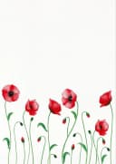 Kracht Geschirrtuch Mohnblume 3er Pack Halbleinen Rot Bild 1