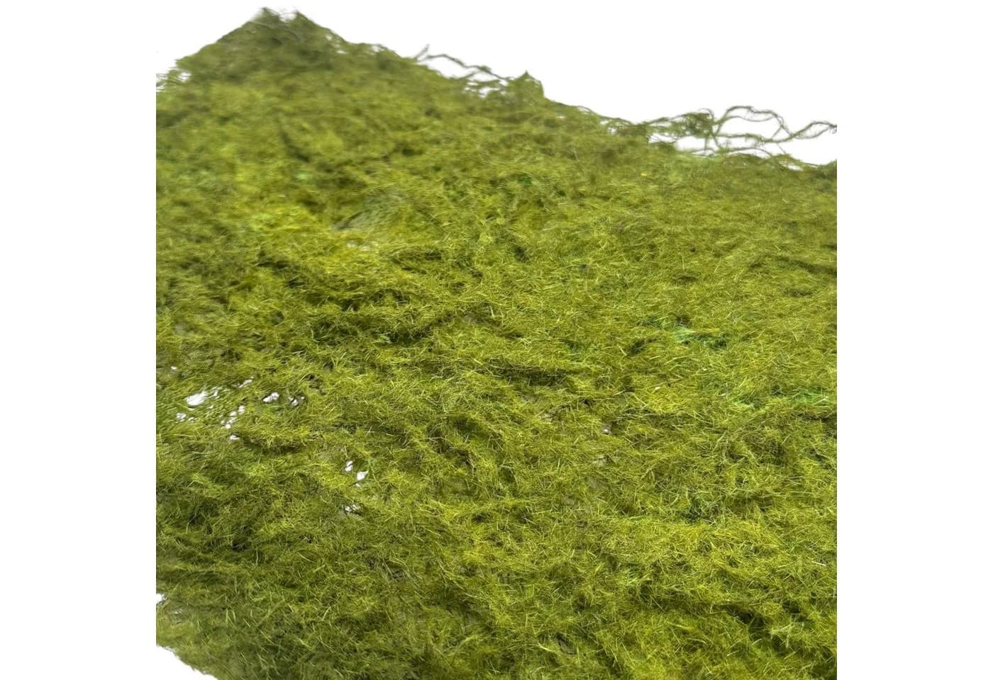 Künstliche Moosmatte Grün ca. 30x20 cm von Floratexx GmbH
