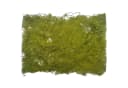 Künstliche Moosmatte Grün ca. 30x20 cm von Floratexx GmbH Bild 2