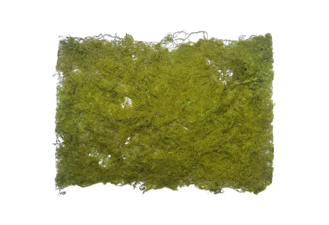 Künstliche Moosmatte Grün ca. 30x20 cm von Floratexx GmbH - Bild 2