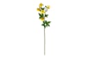 Floratexx GmbH Künstliche Butterblume Wiesenblume 48cm Gelb Bild 3