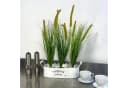 Floratexx Künstlicher Grasbusch mit Dolden Grün Bild 1