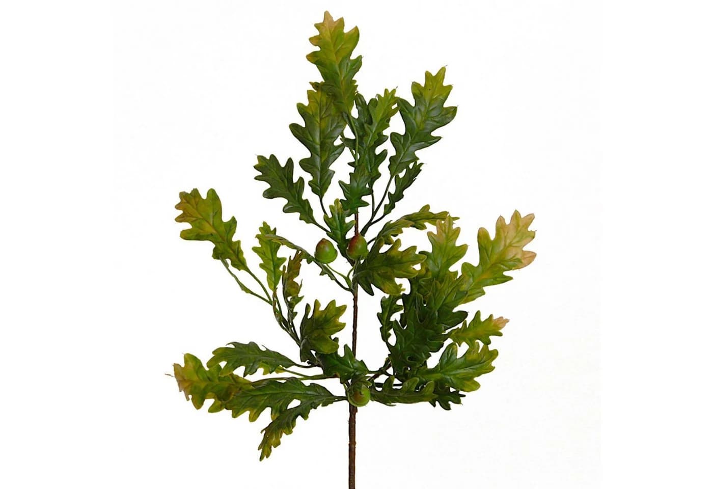Künstlicher Eichenzweig ca. 42 cm Eichenlaub, Eicheln, Eiche Grün-Braun Floratexx GmbH