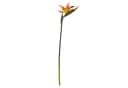 Künstliche Strelitzie ca. 60cm Paradiesvogelblume Papageienblume, Floratexx GmbH Bild 1