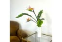Künstliche Strelitzie ca. 60cm Paradiesvogelblume Papageienblume, Floratexx GmbH Bild 3