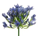 Kunstblume AGAPANTHUS BLAU ca. 75 cm mit Biegedrahtkern Bild 2