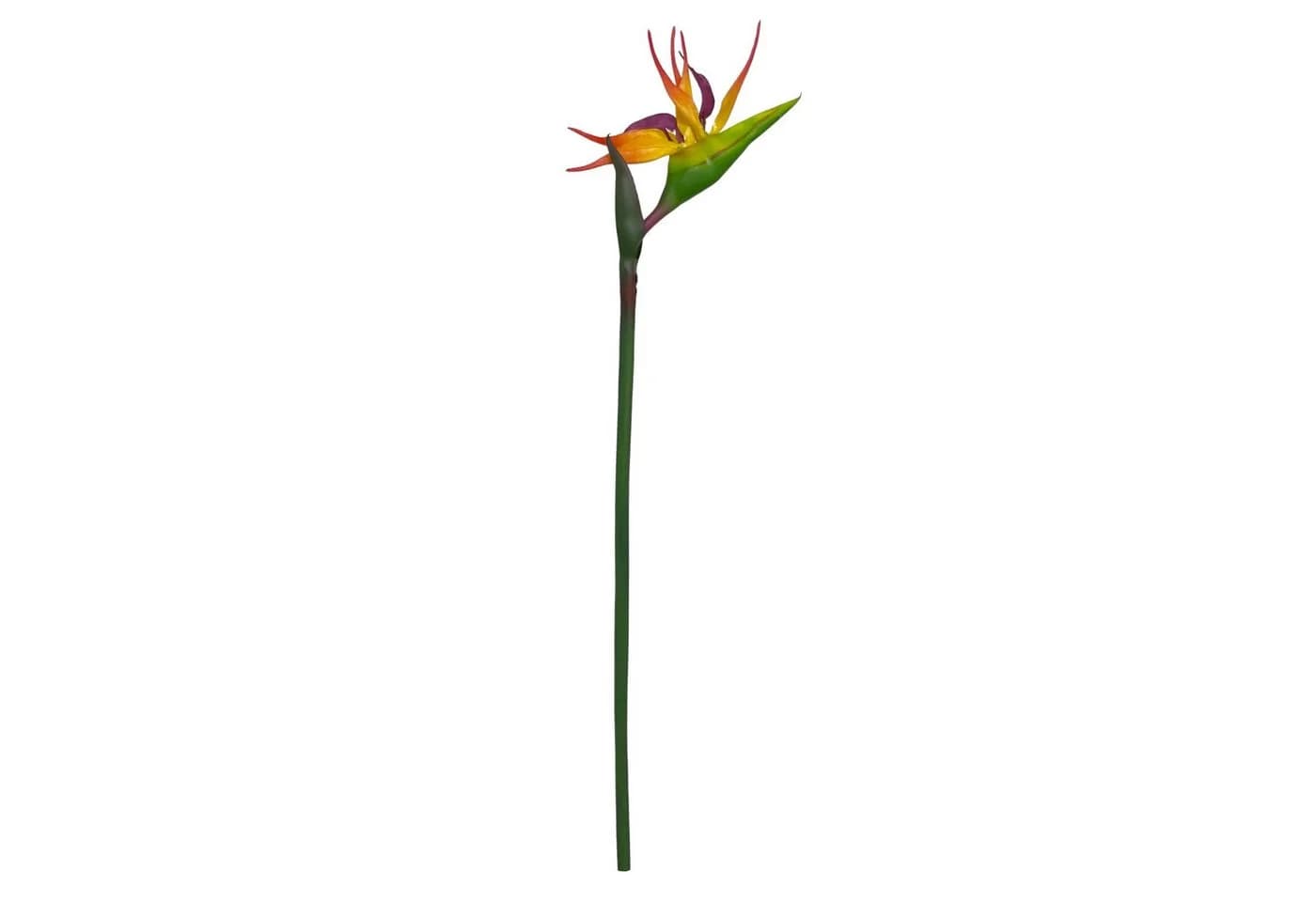 Künstliche Strelitzie ca. 83cm Paradiesvogelblume Papageienblume, Floratexx GmbH