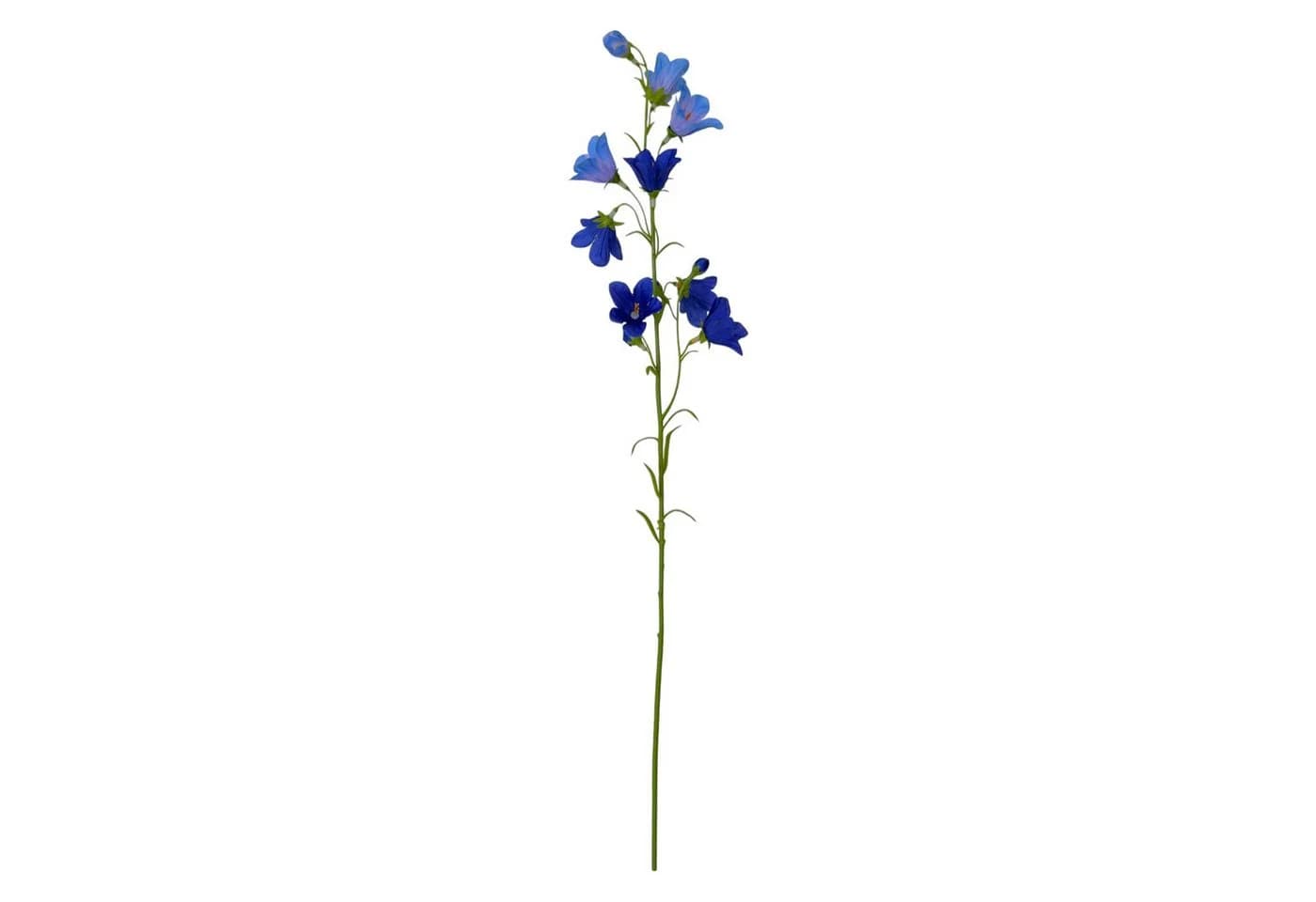 Künstliche Glockenblume 65cm Blau Floratexx GmbH