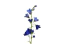 Künstliche Glockenblume 65cm Blau Floratexx GmbH Bild 2