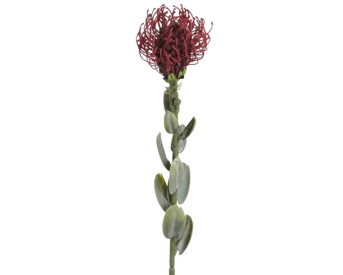 Floratexx GmbH Kunstblume PROTEA Burgund