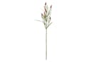 Floratexx Künstlicher Weiderich Rosa 60cm Kunstpflanze Bild 1