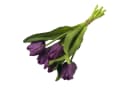 Kunsttulpe Künstlicher Tulpen-Bund 32cm "Soft-Touch" Kunstblume Tulpe, Floratexx GmbH Bild 1