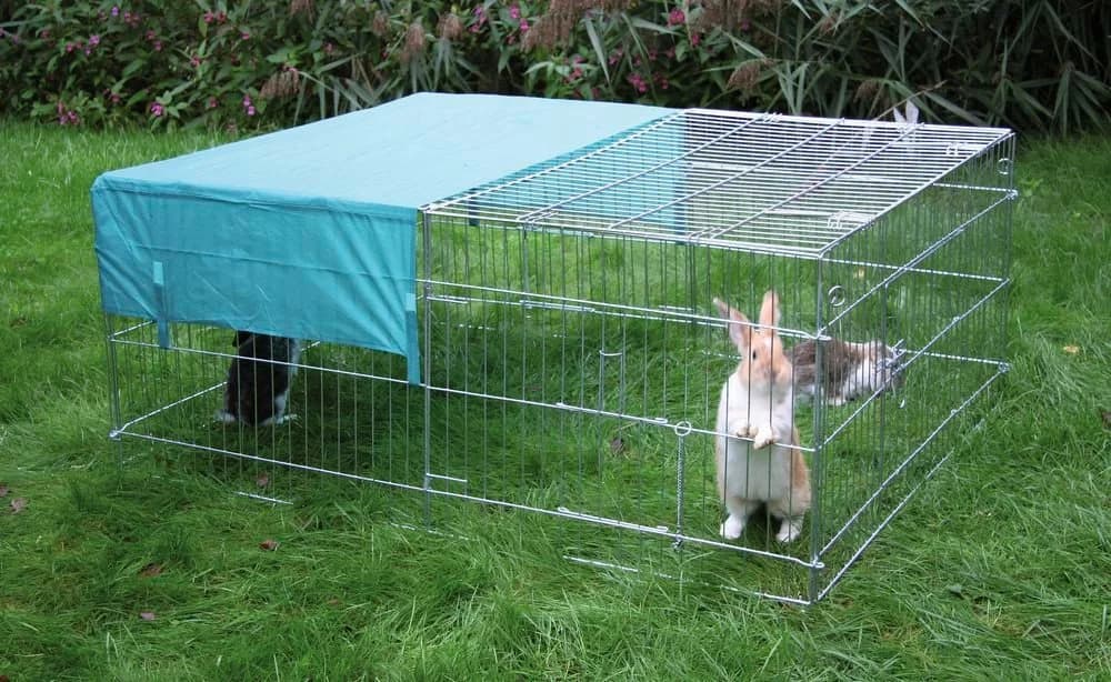 Kerbl Freilaufgehege für Kaninchen und Hasen mit Gitterabdeckung