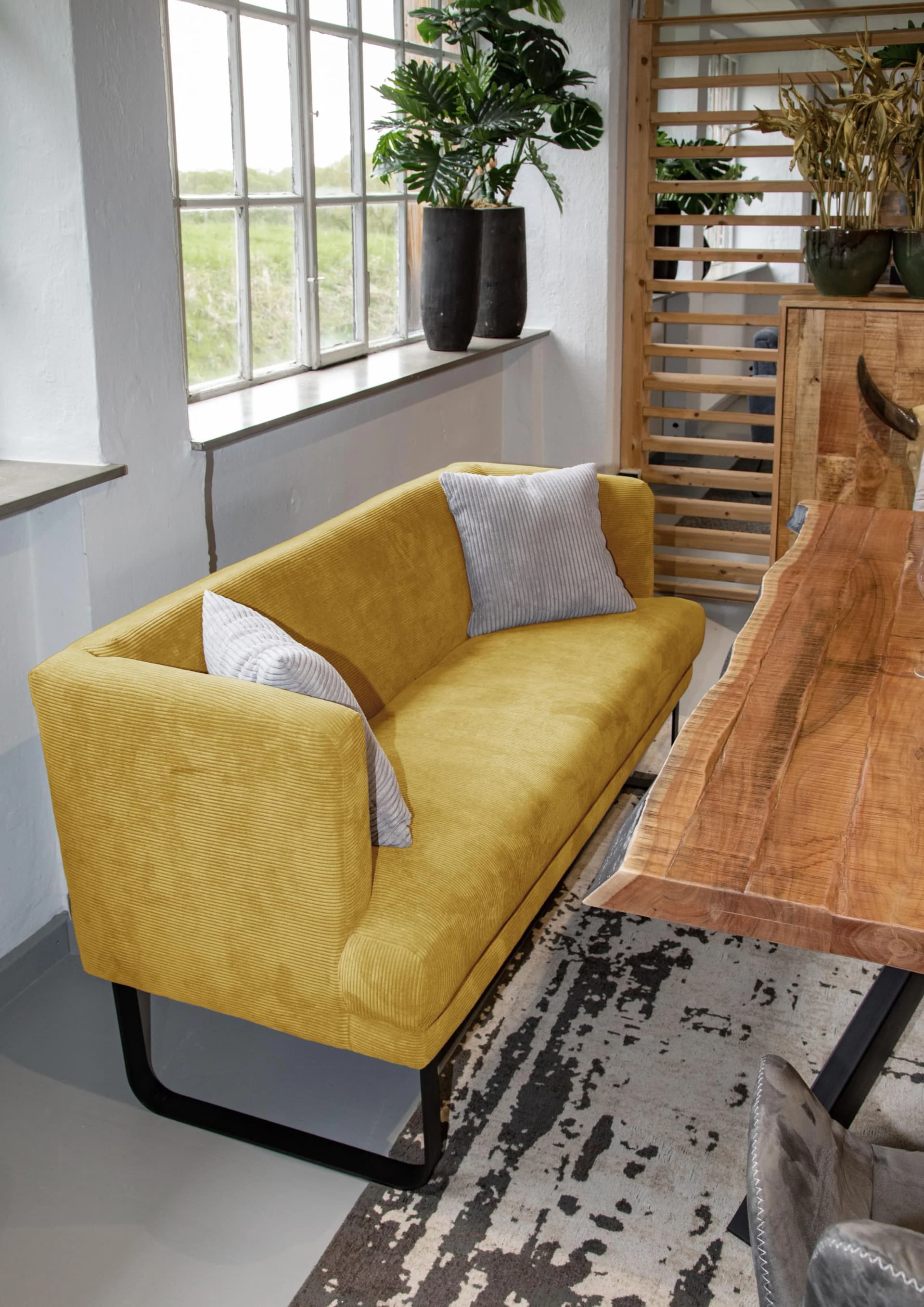 GUTMANN FACTORY Küchensofa Gelb Cord Metallfüße