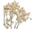 Florists Products Kunstblume Schleierkraut Creme 46cm 3er Bund Bild 1