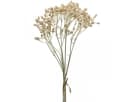 Florists Products Kunstblume Schleierkraut Creme 46cm 3er Bund Bild 2