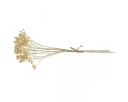 Florists Products Kunstblume Schleierkraut Creme 46cm 3er Bund Bild 3