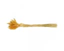 Florists Products Trockenblume Lagurus Gelb Dekogras Hasenschwanz-Gras Bild 4