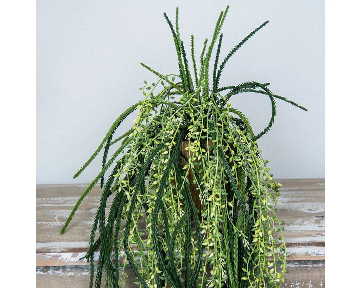 Florists Products Kunstkaktus Rhipsalis Korallenkaktus Hängeampel Grün