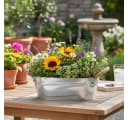 Florists Products Übertopf Schale Zink Oval mit Seilgriffen Bild 1