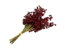 Viana Künstliche Beerenpick Rot 23cm 12 Stück - Deko-Zweig für Herbst Bild 4