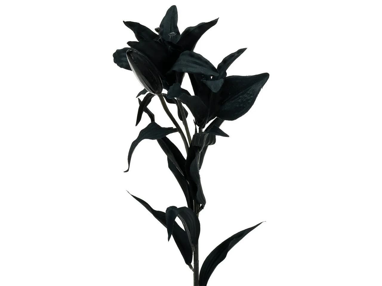 Viana Kunstblume Lilie Schwarz 84cm Seidenblume Deko - Bild 2