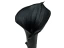 Viana Deko-Calla Schwarz Kunstblume 75cm Bild 1