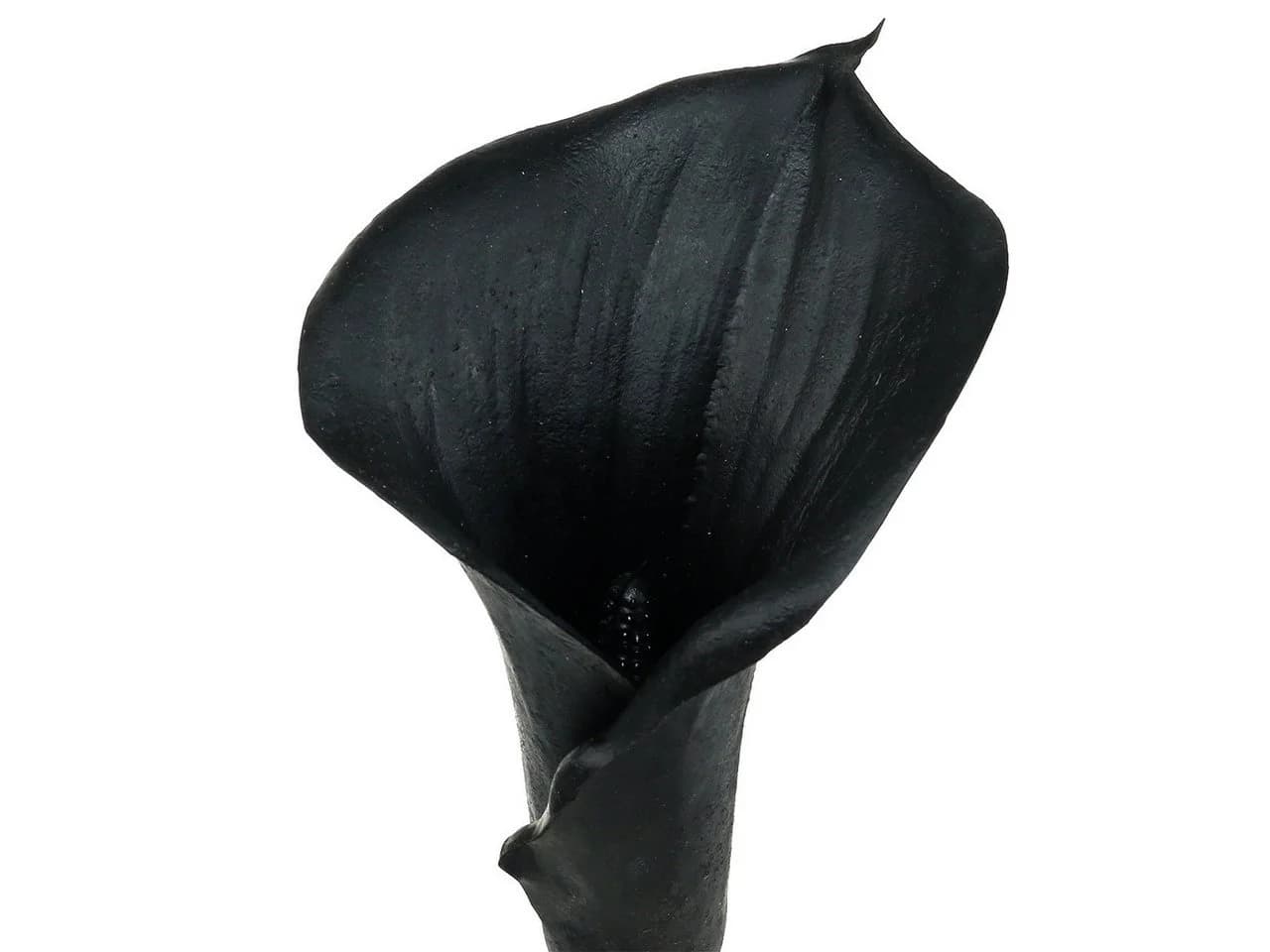 Viana Deko-Calla Schwarz Kunstblume 75cm