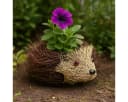 Florists Products Pflanzgefäß Igel Reben 22x25cm Herbstdeko Bild 1