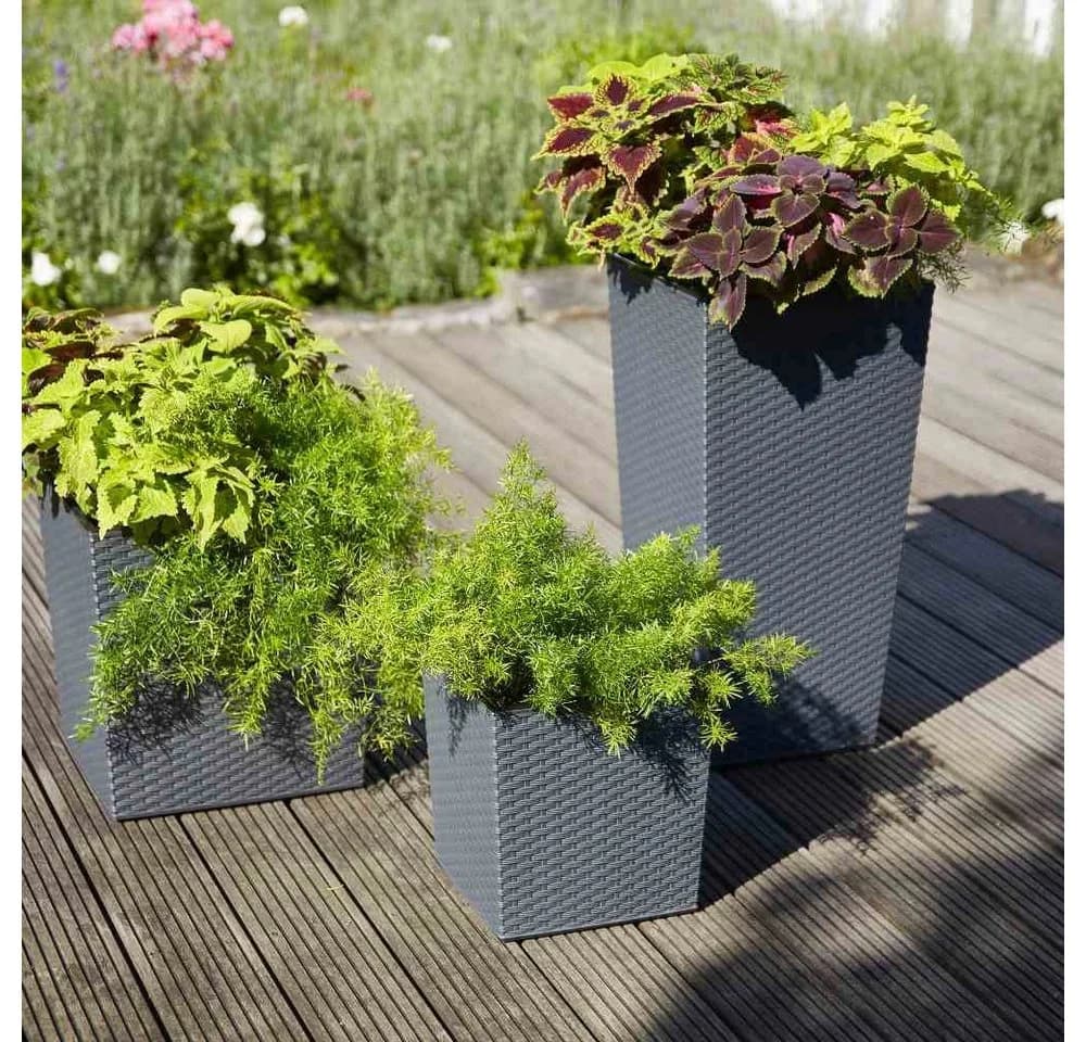 Siena Garden Pflanzkübel Rillenoptik Eckig Graphit - Bild 5