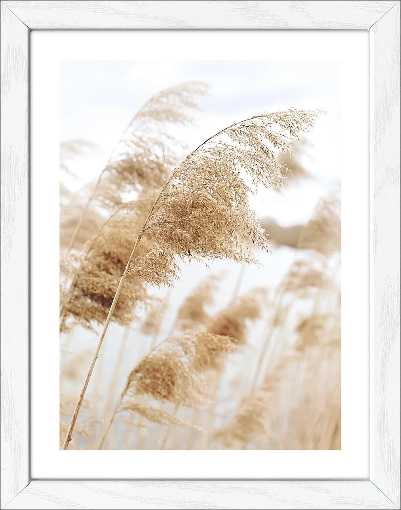 Gerahmtes Bild COAST III Mehrfarbig Kunstdruck Pro Art