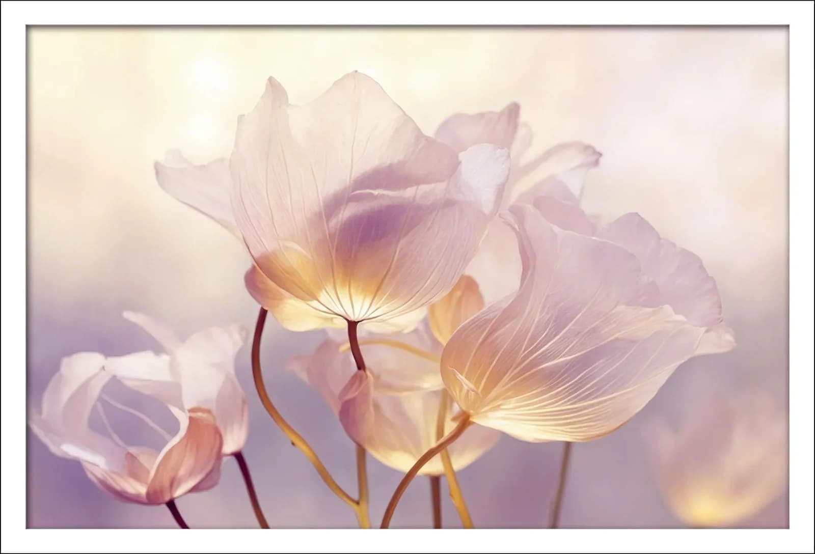 Gerahmtes Bild FLOWERS Transparente Blumen Kunstdruck Holzwerkstoff